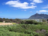 Table Mountain National Park Op Cape Peninsula